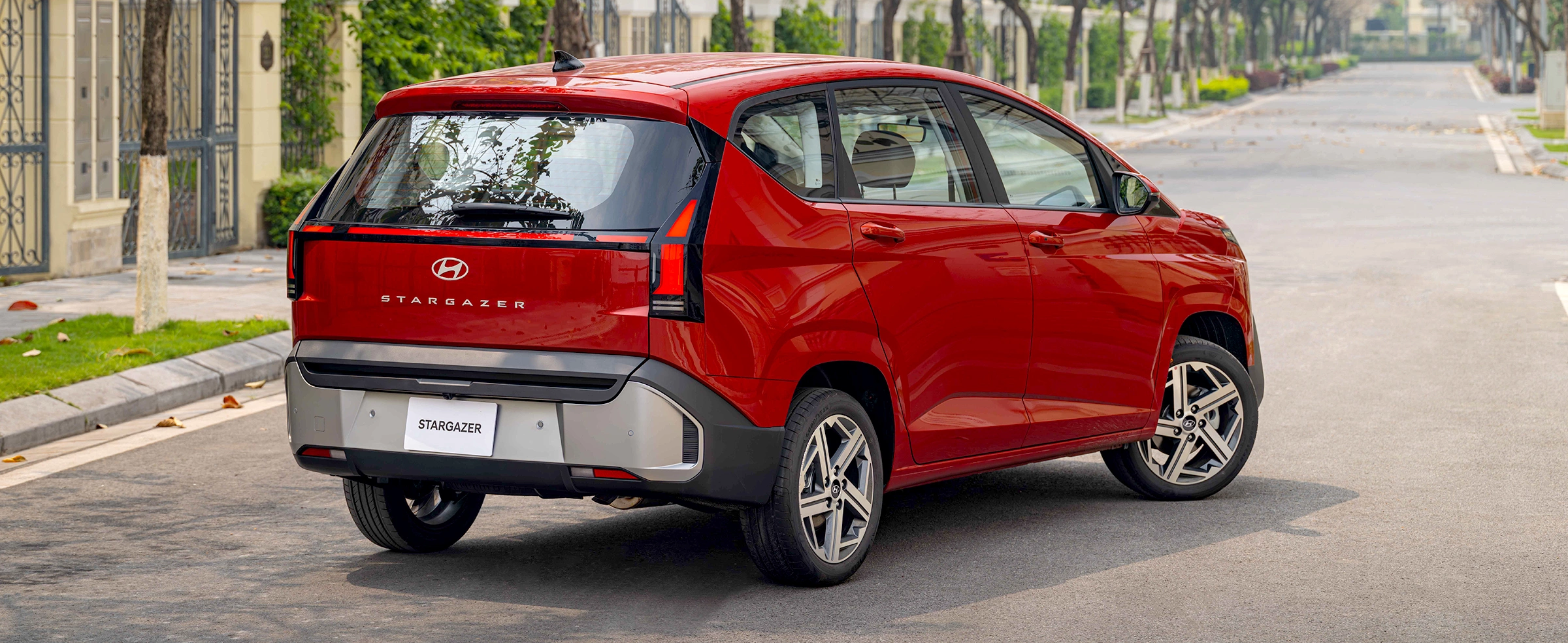 Stargazer 18 Stargazer 13