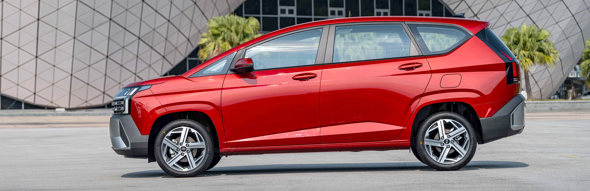 Stargazer 13 Stargazer 10