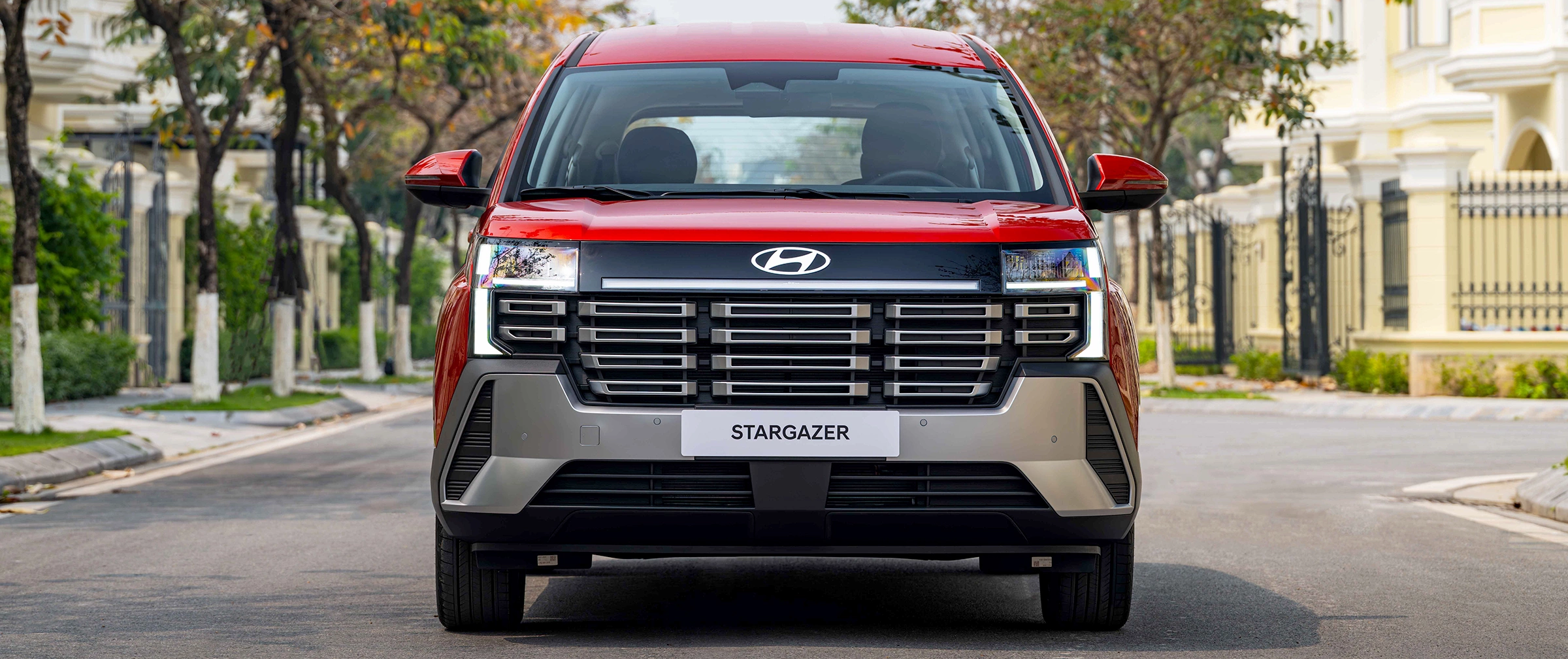 Stargazer 10 Stargazer 9